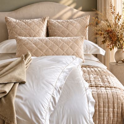PHO SILK VELVET PILLOWS