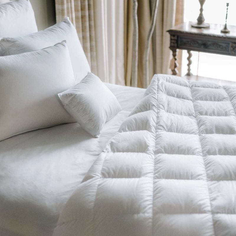 Anichini Danube European Goose Down Pillows