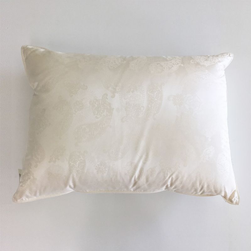 Anichini Dorit Luxury Paisley Silk Down Covered Pillows