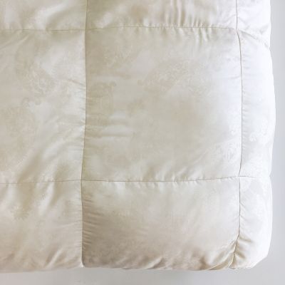 Anichini Dorit Paisley Luxury Silk Down Duvet Comforter