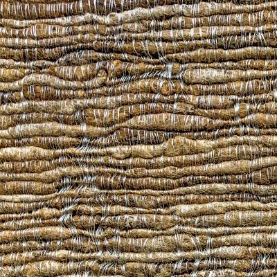 Anichini Naari Hand Loomed Silk Fabric Detail