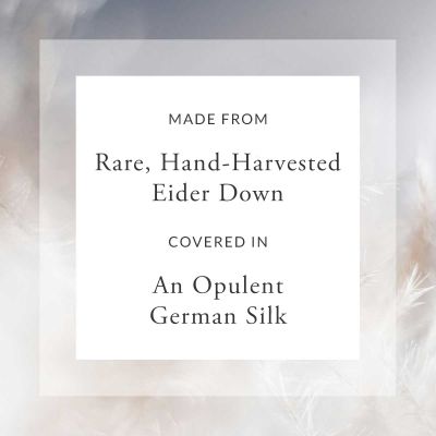 Anichini Helios Luxury Silk Covered Eiderdown Duvet Comforter
Silk Covered Eiderdown Duvet Comforters
Anichini helios silk down duvet comforter 