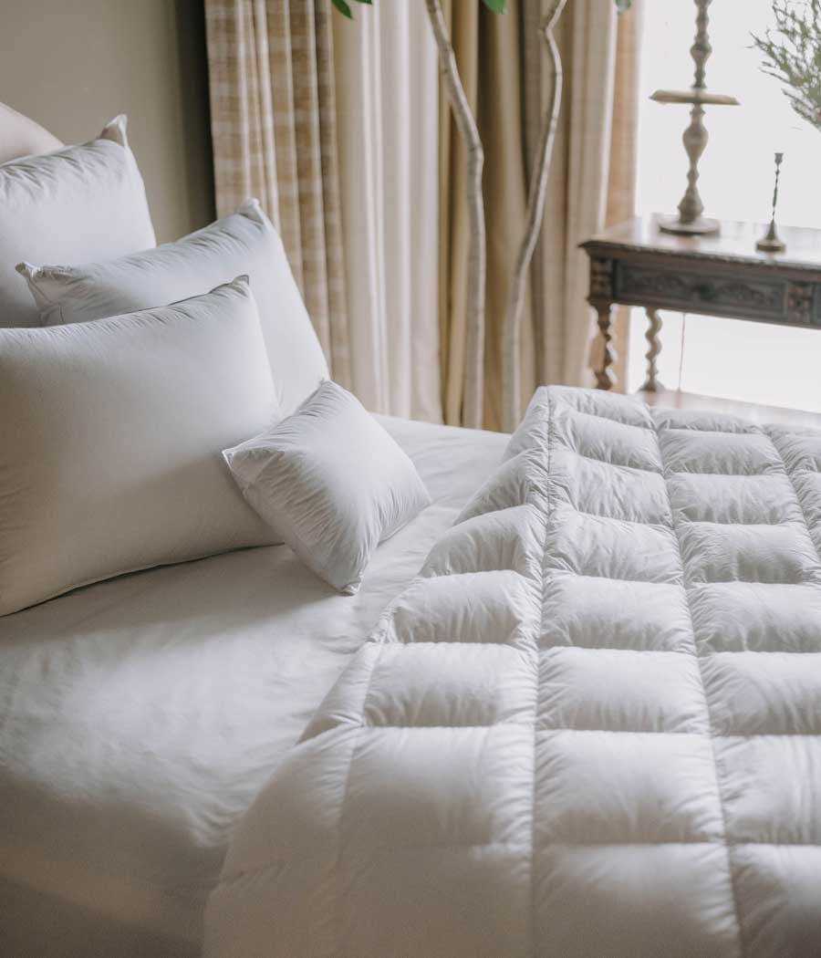 The Gift of Comfort — luxurious ANICHINI textiles