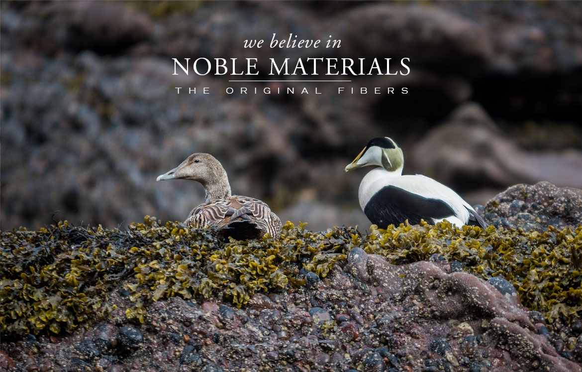 ANICHINI believes in Noble Materials - The Original Fibers - Eiderdown
