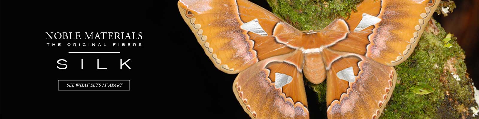 The silk moth is the source of silk, one of the original fibers, one of the finest, luxury textile materials.