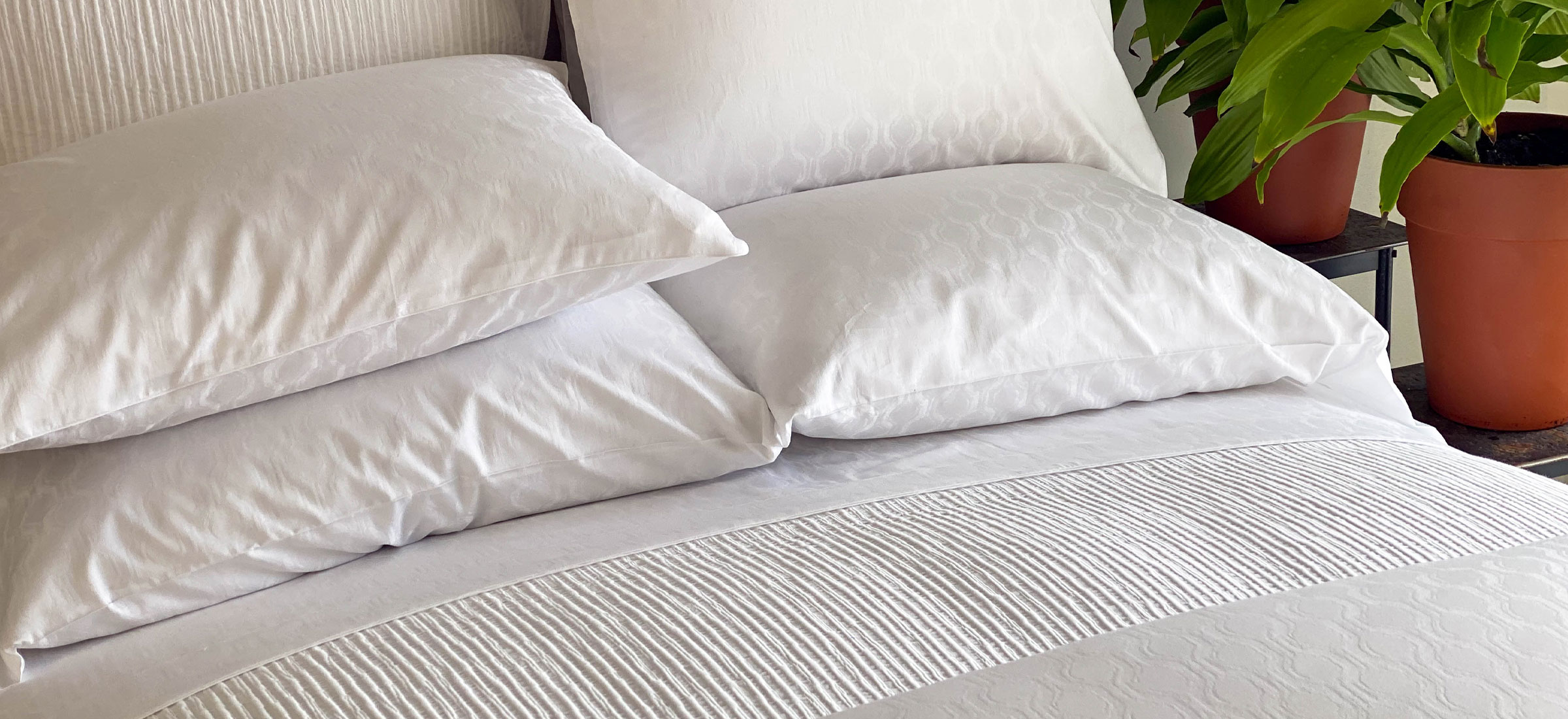 ANICHINI Enlightened Luxury